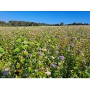 General Gamebird Mix. Cover Crop. 1 acre pack. 